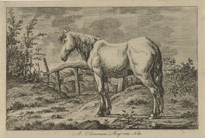 caballo de pie Estudios de vacas, ovejas y cabras (título de la serie) de Anthony Oberman