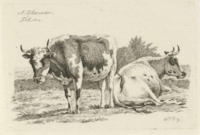 Vaca de pie y tumbada Estudios de vacas, ovejas y cabras (título de la serie) de Anthony Oberman