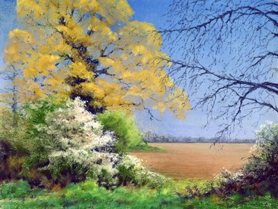 Invierno de endrino de Anthony Rule