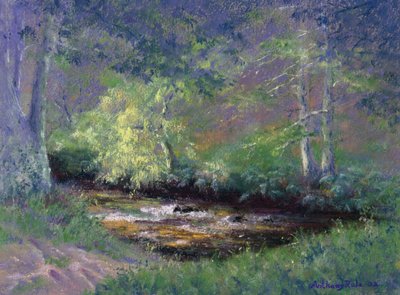 Arroyo del bosque de Anthony Rule
