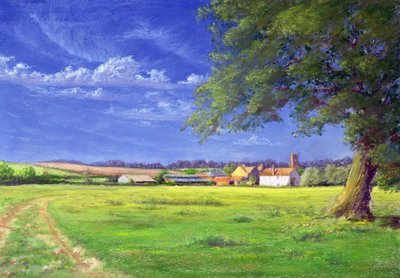 Campo de casa de Anthony Rule
