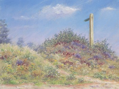 Camino público, 2002 de Anthony Rule