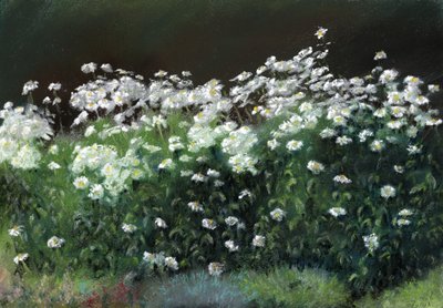 Margaritas Shasta de Anthony Rule
