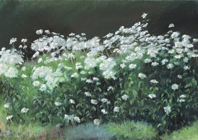 Margaritas Shasta, 1992 de Anthony Rule