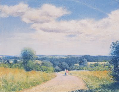Paseo dominical, 2003 de Anthony Rule