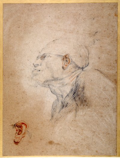 Cabeza de un hombre vendada, su oreja izquierda ensayada por separado de Anthony van Dyck