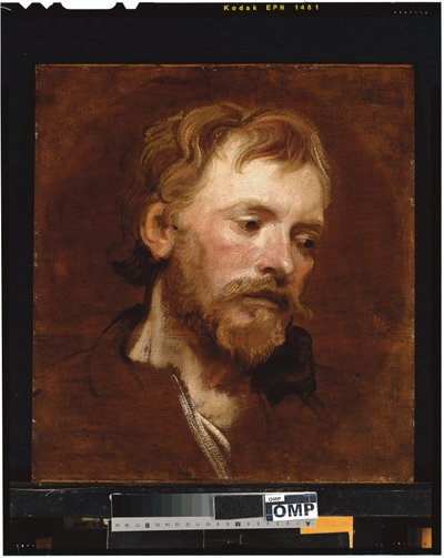 Un hombre con barba, un estudio de Anthony van Dyck