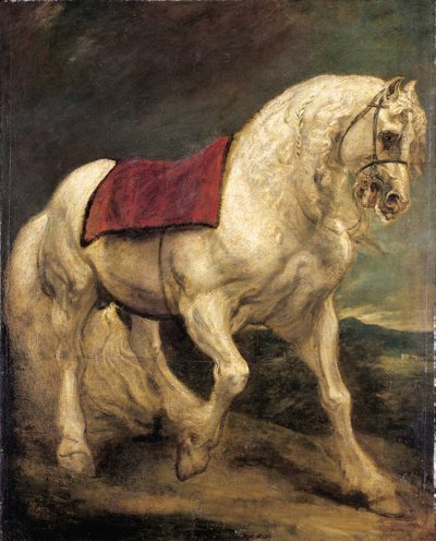 Un semental gris con brida, con una manta de silla y una melena parcialmente trenzada: un modello de Anthony van Dyck