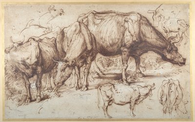 Ganado en pasto, c.1618-20 de Anthony van Dyck
