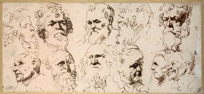 Once estudios de cabezas de Anthony van Dyck