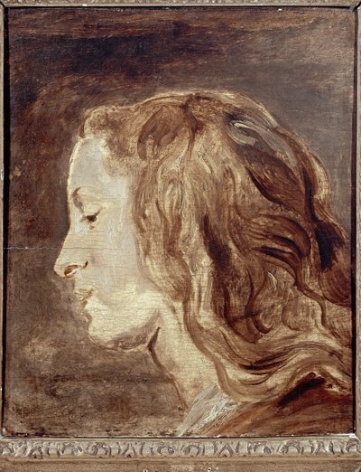 Estudio de cabeza, primera mitad del siglo XVII (óleo sobre tabla) de Anthony van Dyck