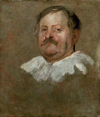 Cabeza de un hombre barbudo con una gorguera caída, 1628 de Anthony van Dyck