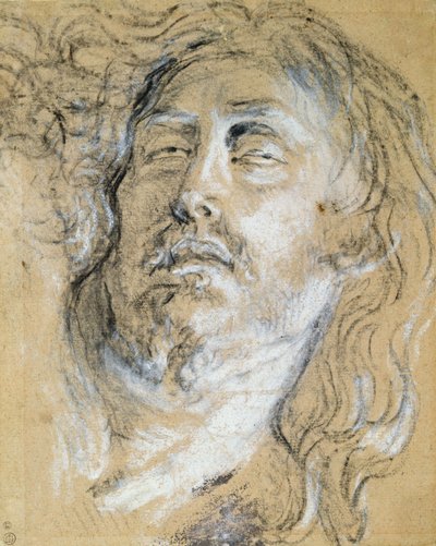Cabeza de Cristo muerto de Anthony van Dyck