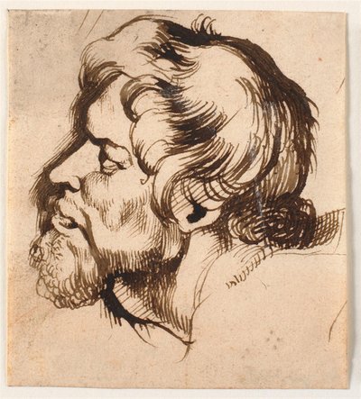 Cabeza de un hombre de Anthony van Dyck
