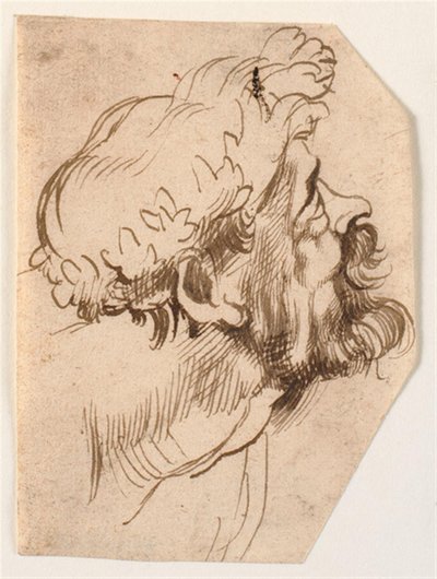 Cabeza de un hombre de Anthony van Dyck
