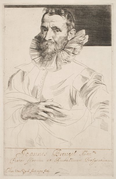 Jan Brueghel, c.1632 (aguafuerte) de Anthony van Dyck
