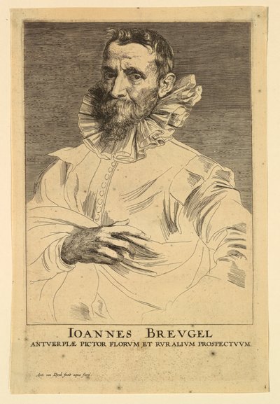 Retrato de Jan Brueghel el Viejo, de los Icones Principum Virorum de Anthony van Dyck
