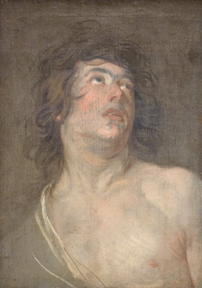 Cabeza de estudio de un joven mirando hacia arriba. San Sebastián de Anthony van Dyck