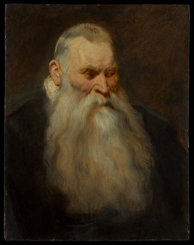 Estudio de cabeza de un anciano con barba blanca de Anthony van Dyck
