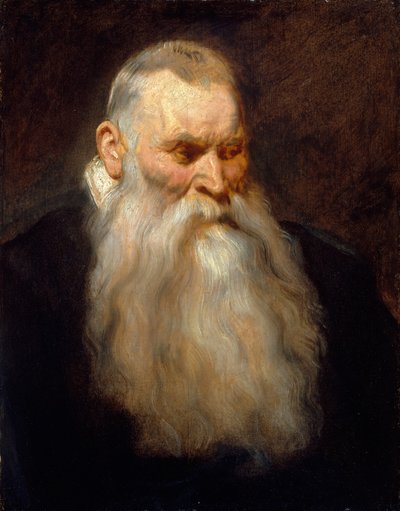 Estudio de la cabeza de un anciano con barba blanca, ca. 1617-20 de Anthony van Dyck