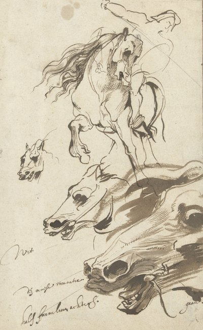 Estudio de jinete y cabeza de un caballo, 1620-1 de Anthony van Dyck