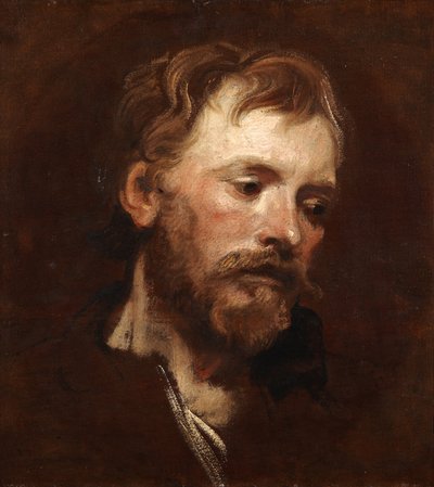 Estudio de un joven barbudo de Anthony van Dyck