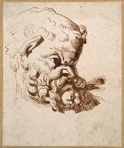 Estudio de una cabeza antigua de Sileno de Anthony van Dyck
