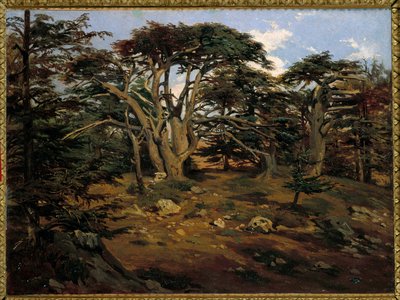 Los viejos cedros en el Monte Líbano en Boumana de Antoine Alphonse Montfort