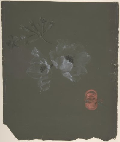 Diseño floral de Antoine Berjon