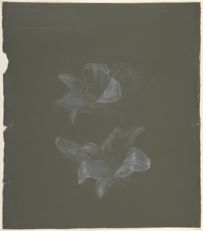 Diseño floral de Antoine Berjon