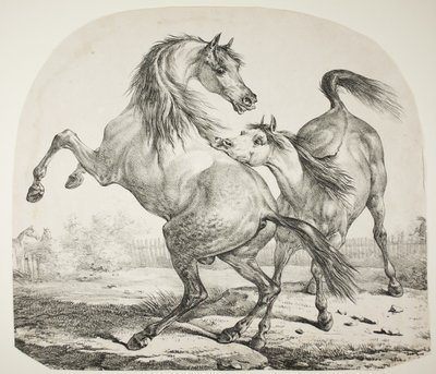 Caballos salvajes luchando, c.1820 de Antoine Charles Horace Vernet