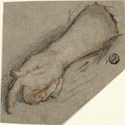 Dorso de la mano y antebrazo de Antoine Coypel