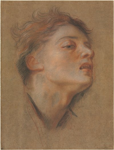 Cabeza de un Joven, 1715-1717 de Antoine Coypel