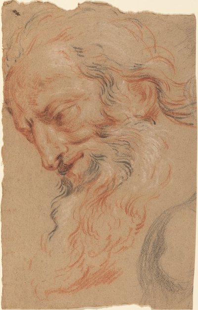 Cabeza de un anciano de Antoine Coypel