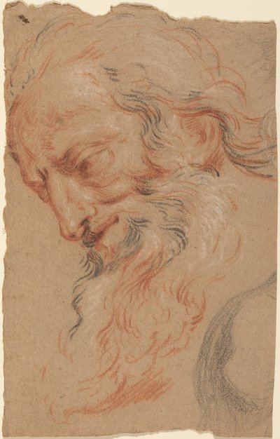 Cabeza de un anciano de Antoine Coypel