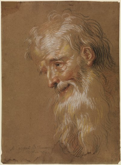 Cabeza de un anciano barbudo de Antoine Coypel