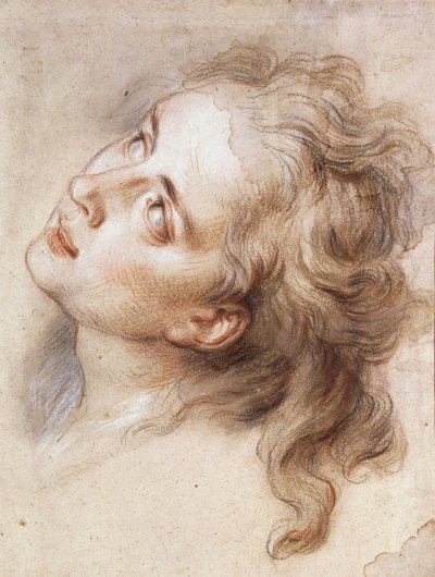 La Cabeza de un Ángel, Mirando hacia Arriba a la Izquierda de Antoine Coypel