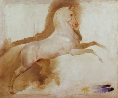 Caballo de Joachim Murat, c. 1832 de Antoine Jean Gros