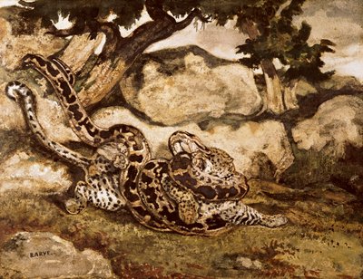Una pitón matando a un tigre de Antoine Louis Barye