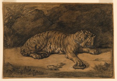 Un tigre y una tortuga de Antoine Louis Barye
