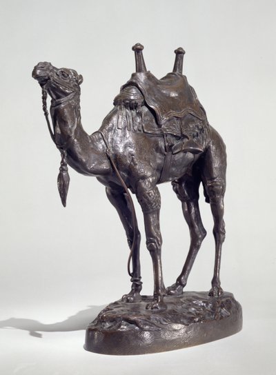 Dromedario egipcio con arnés de Antoine Louis Barye