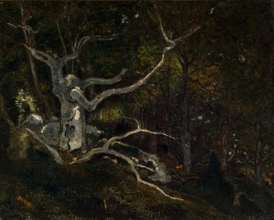 Bosque de Fontainebleau, La "Reine Blanche" 1860 (Óleo sobre lienzo) de Antoine Louis Barye