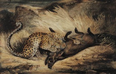 Leopardo devorando un jabalí de Antoine Louis Barye