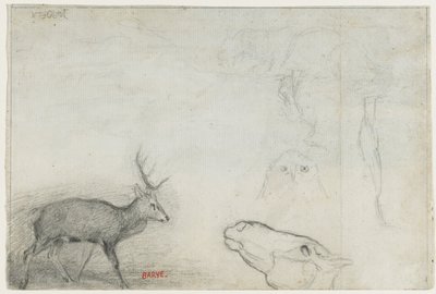 Estudios de animales verso de Antoine Louis Barye