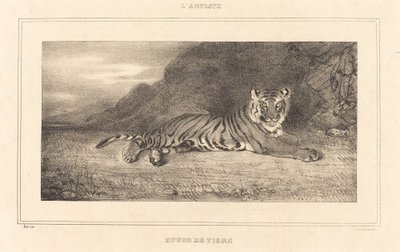Estudio de un tigre de Antoine Louis Barye