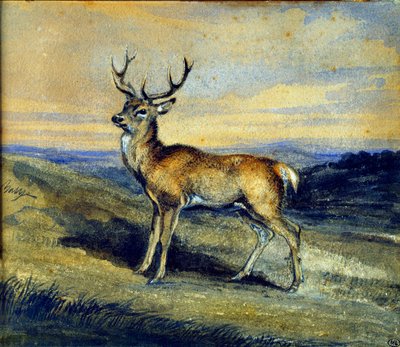 El ciervo de Antoine Louis Barye
