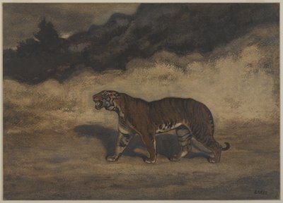 Tigre caminando hacia la izquierda de Antoine Louis Barye