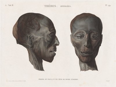 Descripción de Egipto: Tebas. Hipogeos Vol. II, Pl. 49 de Antoine Maxime Monsaldy