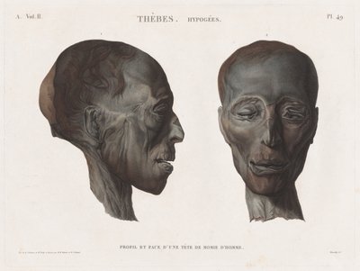 Descripción de Egipto: Tebas. Hipogeos Vol. II, Pl. 49 de Antoine Maxime Monsaldy