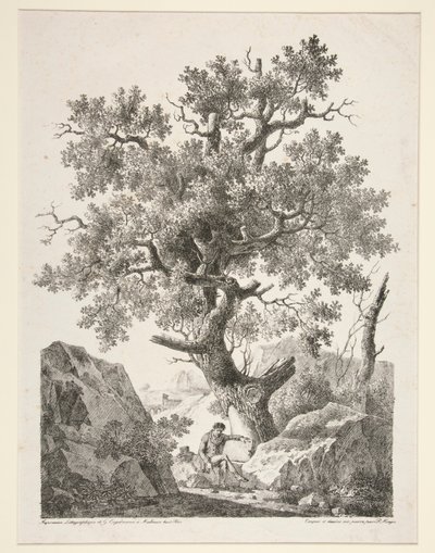 Sin título [Hombre sentado junto a un árbol] de Antoine Pierre Mongin